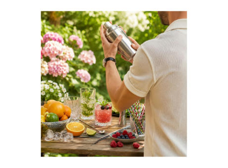 ROMINOX® Cocktailshaker // Shakeme