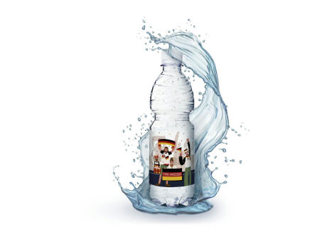 500 ml PromoWater - Mineralwasser zur Fußball Europameisterschaft mit Kohlensäure, Hergestellt in Deutschland - Folien-Etikett