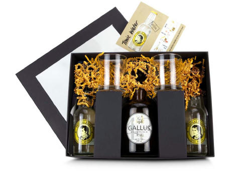 Geschenkset / Präsenteset: Gin Tonic Set 'Gallus 43'