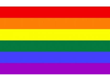 Polyesterfahne Regenbogen-Pride