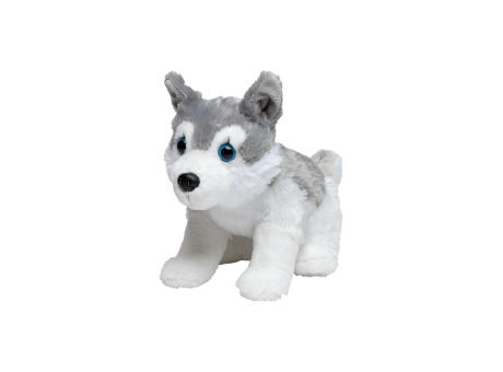 Husky Harri