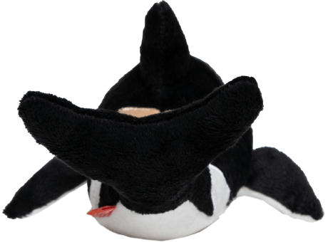 Orca Phil