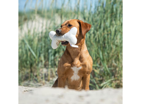 Hundespielzeug Knochen