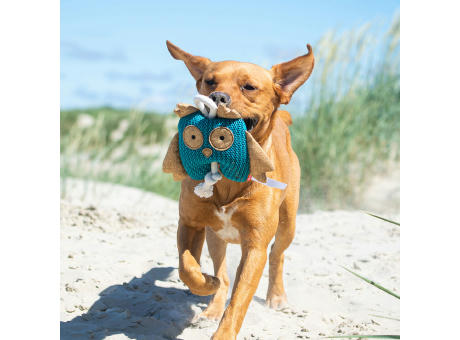 Hundespielzeug Eule