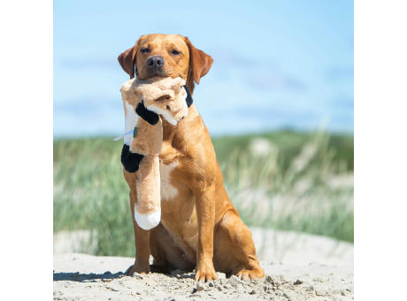 Hundespielzeug RecycelFuchs