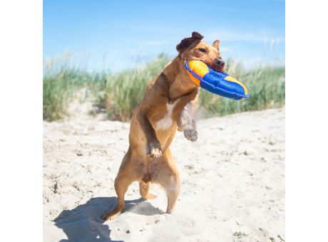 Hundespielzeug Flying Disc