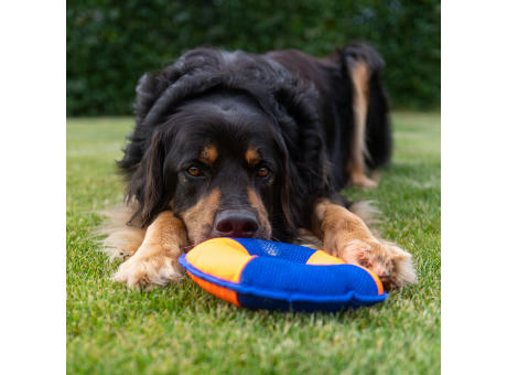 Hundespielzeug Flying Disc