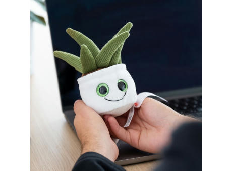 Schmoozies® Evergreenies® Aloe Vera