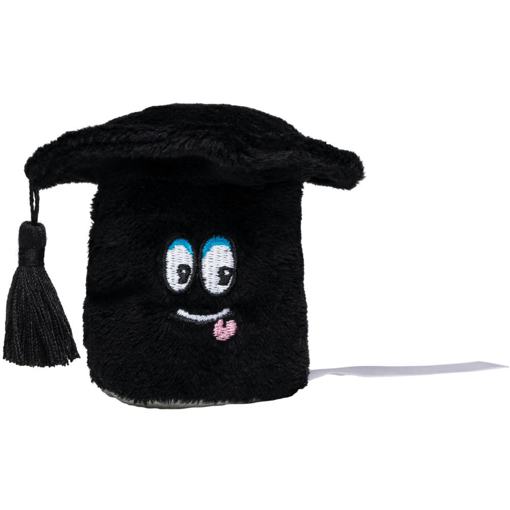 Schmoozies® Absolventenhut