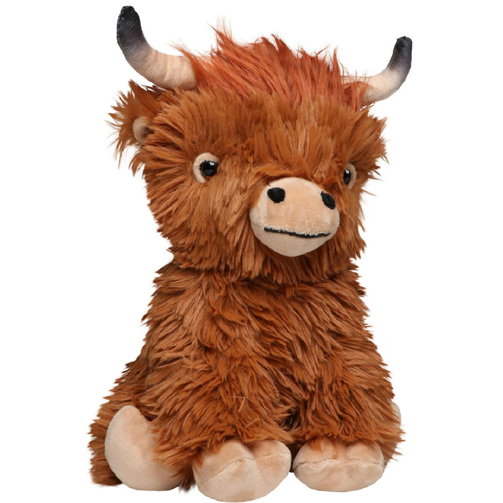 Schottisches Hochlandrind Bobby