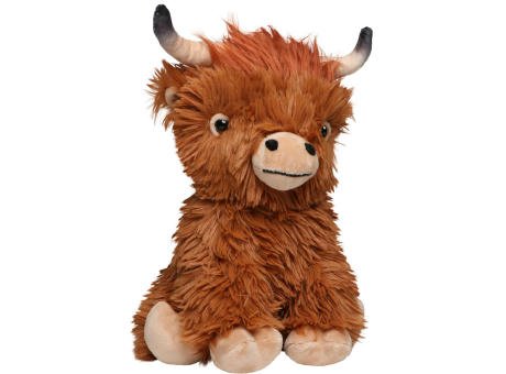 Schottisches Hochlandrind Bobby