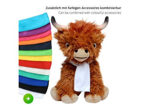 Schottisches Hochlandrind Bobby