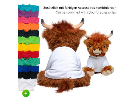 Schottisches Hochlandrind Bobby