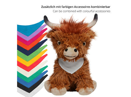 Schottisches Hochlandrind Bobby