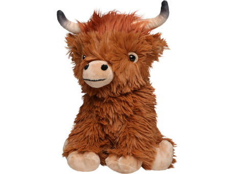 Schottisches Hochlandrind Bobby