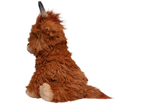 Schottisches Hochlandrind Bobby