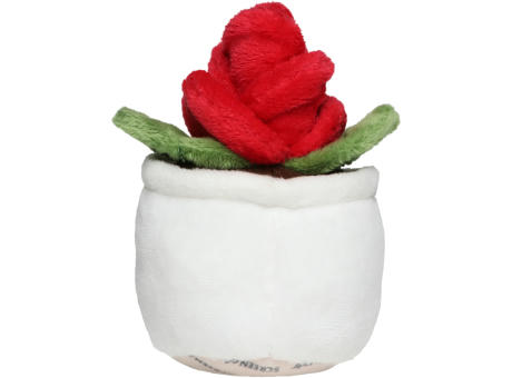 Schmoozies® Evergreenies® Rose