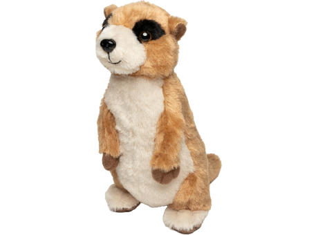 Erdmännchen Jürgen