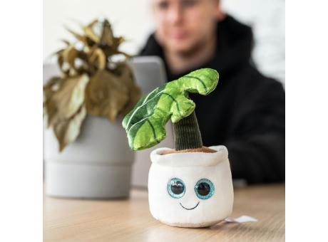 Schmoozies® Evergreenies® Monstera