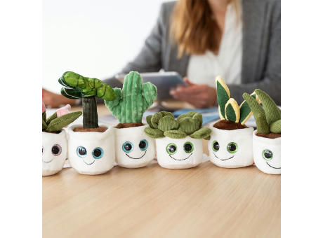 Schmoozies® Evergreenies® Sukkulente