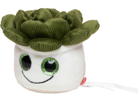 Schmoozies® Evergreenies® Sukkulente