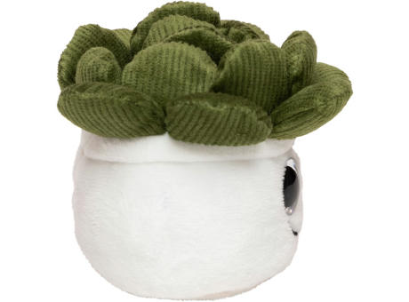 Schmoozies® Evergreenies® Sukkulente