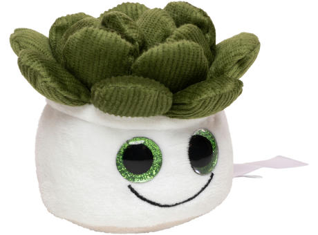 Schmoozies® Evergreenies® Sukkulente