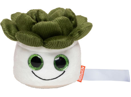 Schmoozies® Evergreenies® Sukkulente
