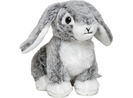 Hase Bettina