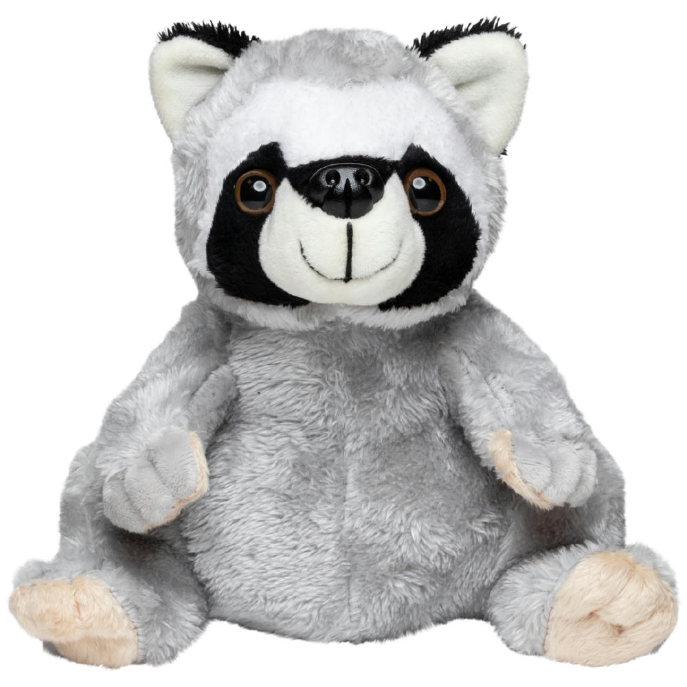 Waschbär Kuddel