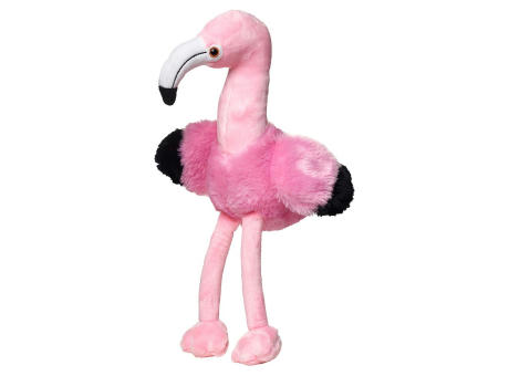 Flamingo Fernando
