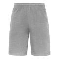 640660, Iconic 250 Shorts, Fruit of the Loom