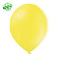 Standardballon Größe S, ca. 80/90 cm Umfang