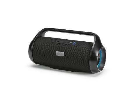 Newton Speaker