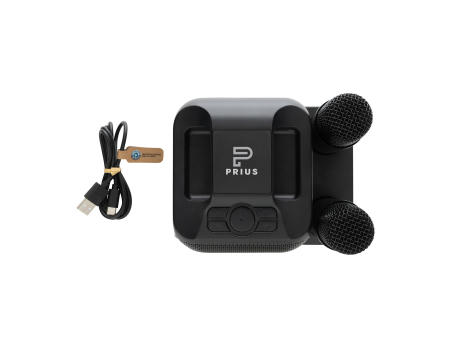 Singvibe Karaoke-Set mit Doppelmikrofon aus RCS rec. ABS