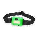 FLASH HEAD TORCH FERN GREEN