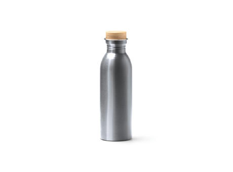 BOTTLE LEVU SILVER