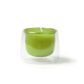 CANDLE FLORA FERN GREEN