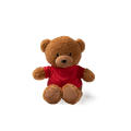 TEDDY BEAR KODA RED