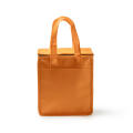 COOLER BAG ALAPA ORANGE