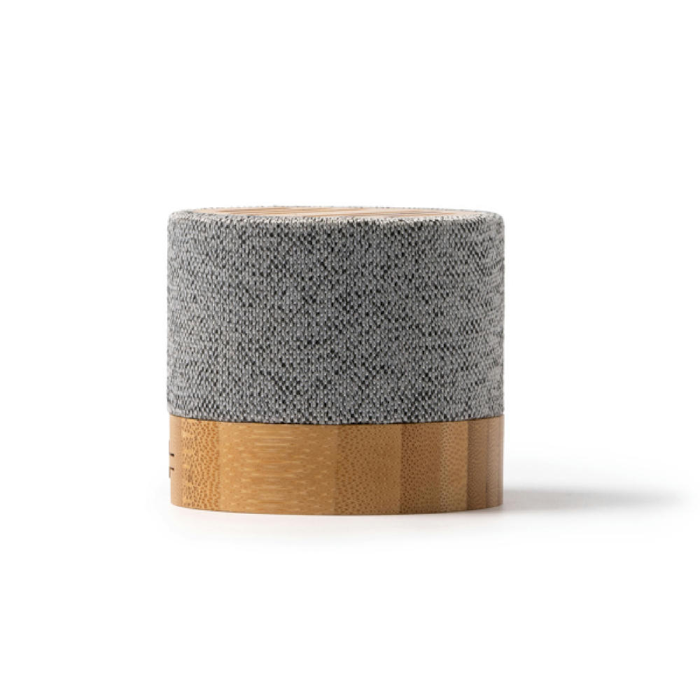 SPEAKER TAKAY HEATHER GREY