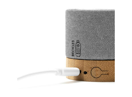 SPEAKER TAKAY HEATHER GREY