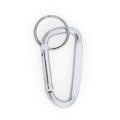 PALE CARABINER SILVER