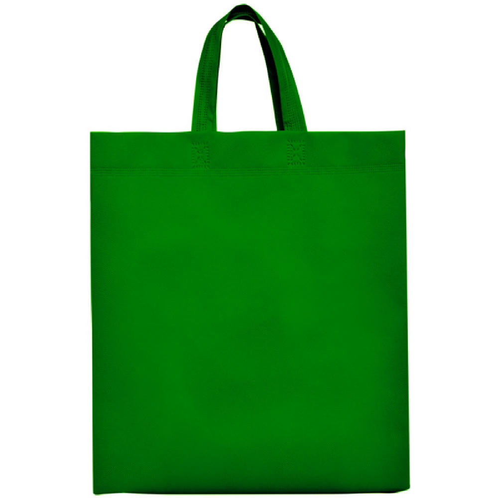 LAKE NON WOVEN BAG 40X35X12 FERN GREEN