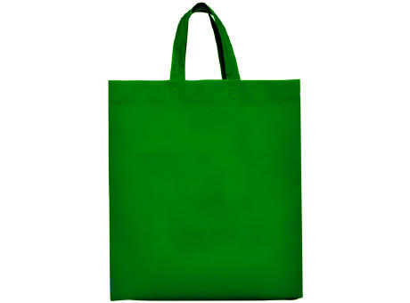 LAKE NON WOVEN BAG 40X35X12 FERN GREEN