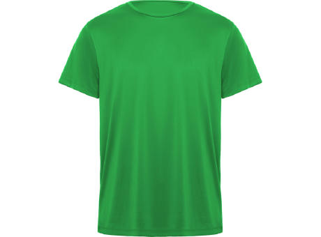 DAYTONA T-SHIRT S/S FERN GREEN