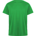 DAYTONA T-SHIRT S/S FERN GREEN