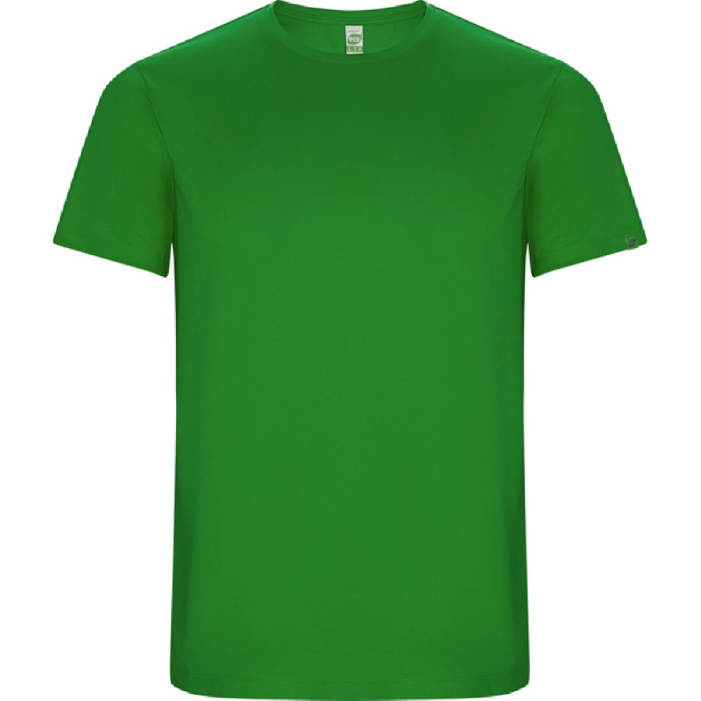 IMOLA T-SHIRT S/S FERN GREEN