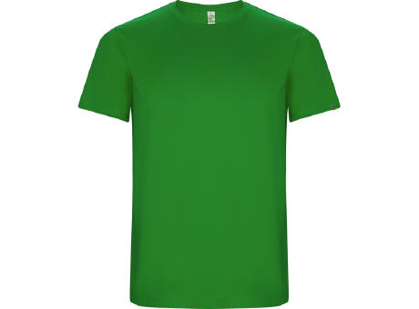 IMOLA T-SHIRT S/8 FERN GREEN