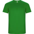 IMOLA T-SHIRT S/S FERN GREEN